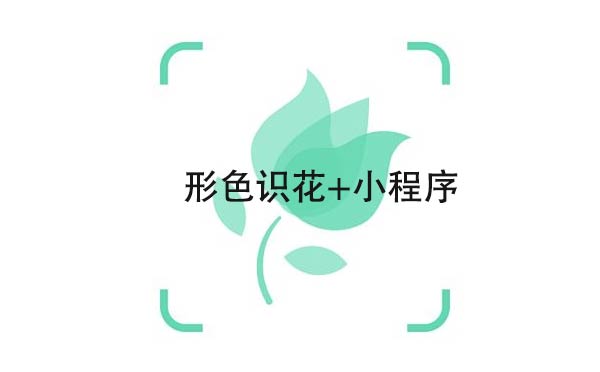 形色識花+小程序.jpg