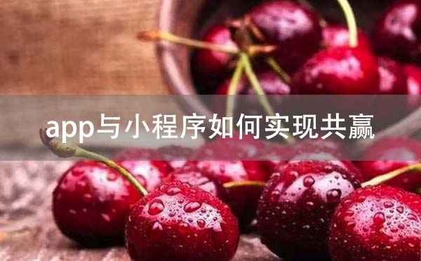 app開發(fā)與小程序開發(fā)如何實(shí)現(xiàn)共贏？