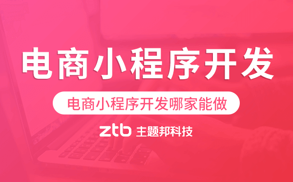 電商小程序開發(fā)哪家能做-主題邦科技